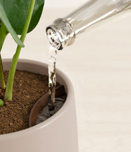 Load image into Gallery viewer, Eternal Gray stand:all