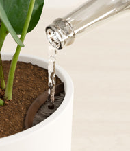 Load image into Gallery viewer, White stand:all