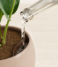 Load image into Gallery viewer, Desert Brown stand:all