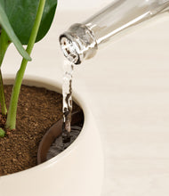 Load image into Gallery viewer, Shiny EggWhite stand:all