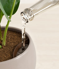 Load image into Gallery viewer, Winter Clouds stand:all