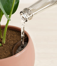 Load image into Gallery viewer, Calm Rose stand:all