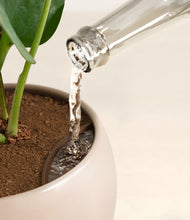 Load image into Gallery viewer, Sandy stand:all