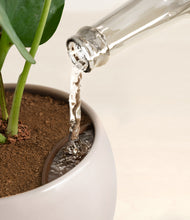 Load image into Gallery viewer, Charcoal stand:all