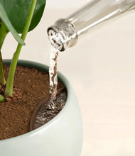 Load image into Gallery viewer, Soft Stone stand:all