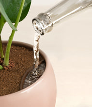 Load image into Gallery viewer, Evening Sky stand:all