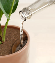 Load image into Gallery viewer, Hammered Peach Pink stand:all