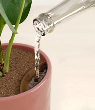 Load image into Gallery viewer, Hammered Rose Pink stand:all