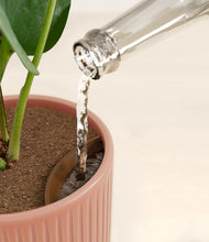 Load image into Gallery viewer, Striped Rose Pink stand:all