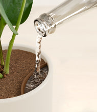 Load image into Gallery viewer, Cotton White stand:all