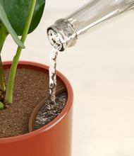 Load image into Gallery viewer, Glossy Red stand:all