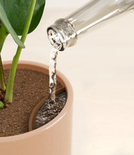 Load image into Gallery viewer, Glossy Pink stand:all