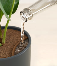 Load image into Gallery viewer, Iron Gray stand:all