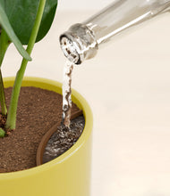 Load image into Gallery viewer, Key Lime Yellow stand:all