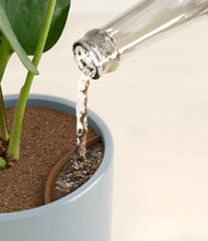 Load image into Gallery viewer, Misty Blue stand:all