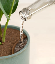 Load image into Gallery viewer, Reactive Aqua stand:all