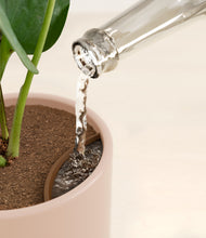 Load image into Gallery viewer, Sandy Pink stand:all