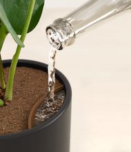 Load image into Gallery viewer, Stone Black stand:all