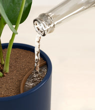 Load image into Gallery viewer, Twilight Blue stand:all