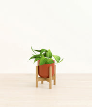 Load image into Gallery viewer, Glossy Red stand:bamboo