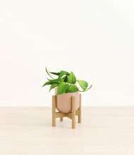 Load image into Gallery viewer, Glossy Pink stand:bamboo