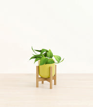 Load image into Gallery viewer, Key Lime Yellow stand:bamboo