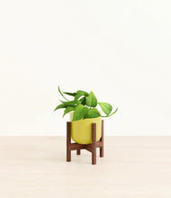 Load image into Gallery viewer, Key Lime Yellow stand:walnut