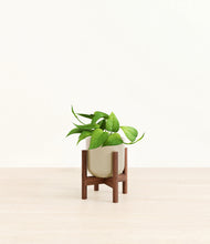 Load image into Gallery viewer, Sage Green stand:walnut