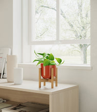 Load image into Gallery viewer, Glossy Red stand:bamboo