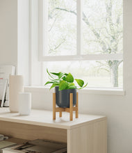 Load image into Gallery viewer, Iron Gray stand:bamboo