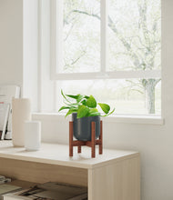 Load image into Gallery viewer, Iron Gray stand:walnut