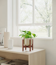Load image into Gallery viewer, Sage Green stand:walnut
