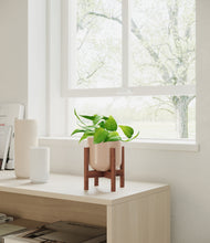 Load image into Gallery viewer, Sandy Pink stand:walnut