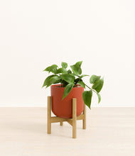 Load image into Gallery viewer, Earth Red stand:bamboo