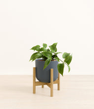Load image into Gallery viewer, Iron Gray stand:bamboo
