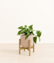 Load image into Gallery viewer, Sandy Pink stand:bamboo
