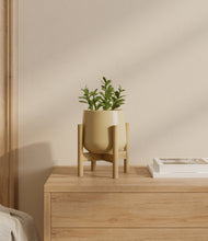 Load image into Gallery viewer, Almond Green stand:bamboo