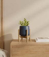 Load image into Gallery viewer, Deep Navy stand:bamboo