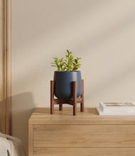 Load image into Gallery viewer, Deep Navy stand:walnut