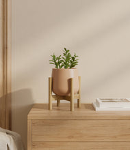 Load image into Gallery viewer, Gentle Pink stand:bamboo