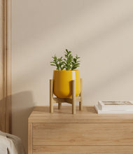 Load image into Gallery viewer, Mustard stand:bamboo