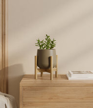Load image into Gallery viewer, Olive stand:bamboo