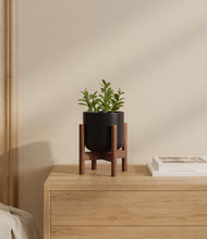 Load image into Gallery viewer, Stone Black stand:walnut