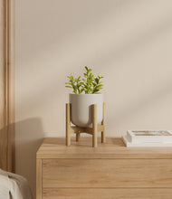 Load image into Gallery viewer, Cotton White stand:bamboo