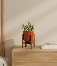 Load image into Gallery viewer, Glossy Red stand:walnut