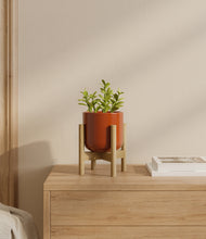 Load image into Gallery viewer, Glossy Red stand:bamboo