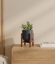 Load image into Gallery viewer, Iron Gray stand:walnut