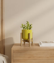 Load image into Gallery viewer, Key Lime Yellow stand:bamboo
