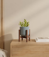 Load image into Gallery viewer, Misty Blue stand:walnut