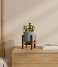 Load image into Gallery viewer, Misty Blue stand:walnut